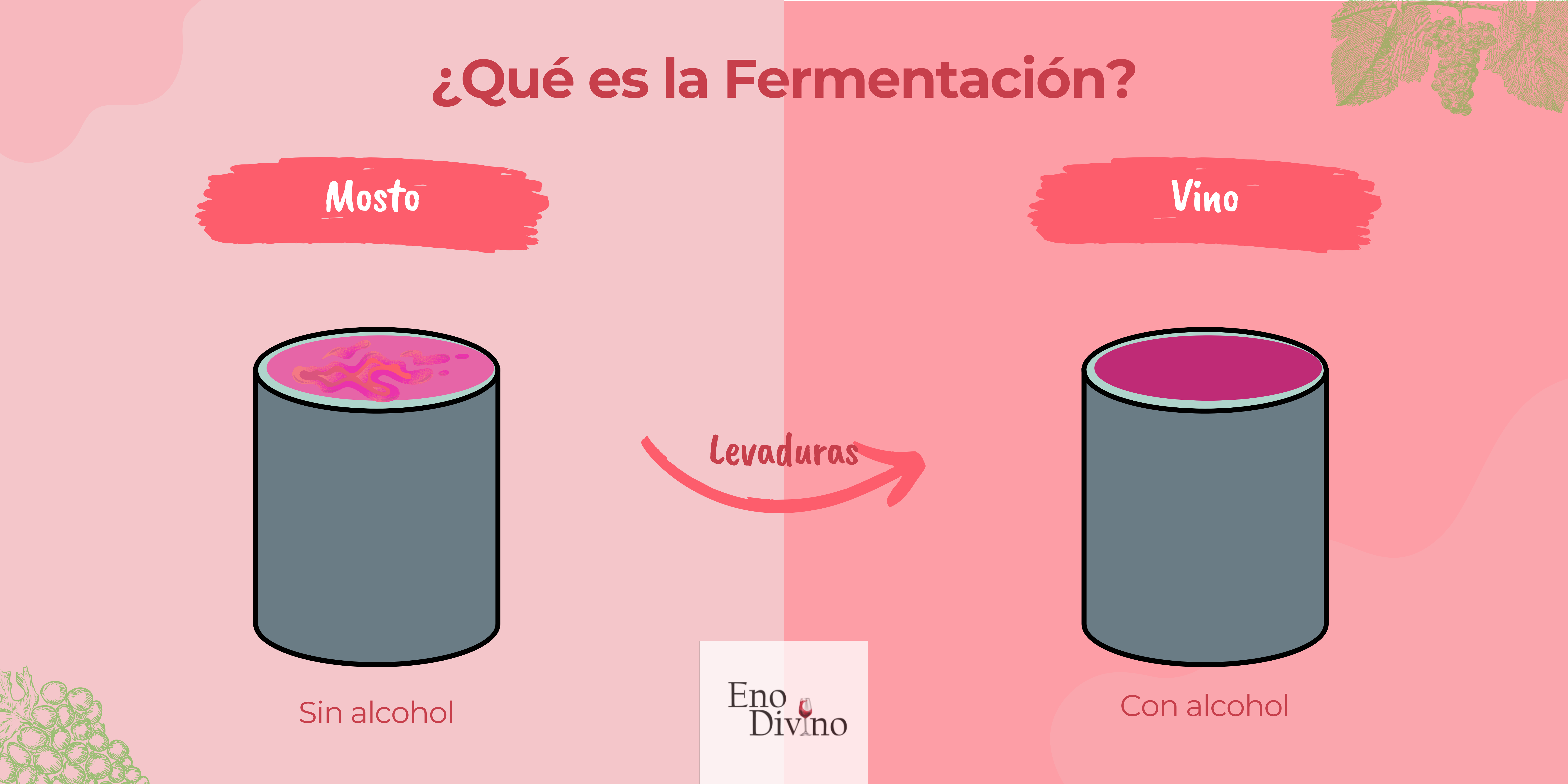 que es la fermentacion infografia