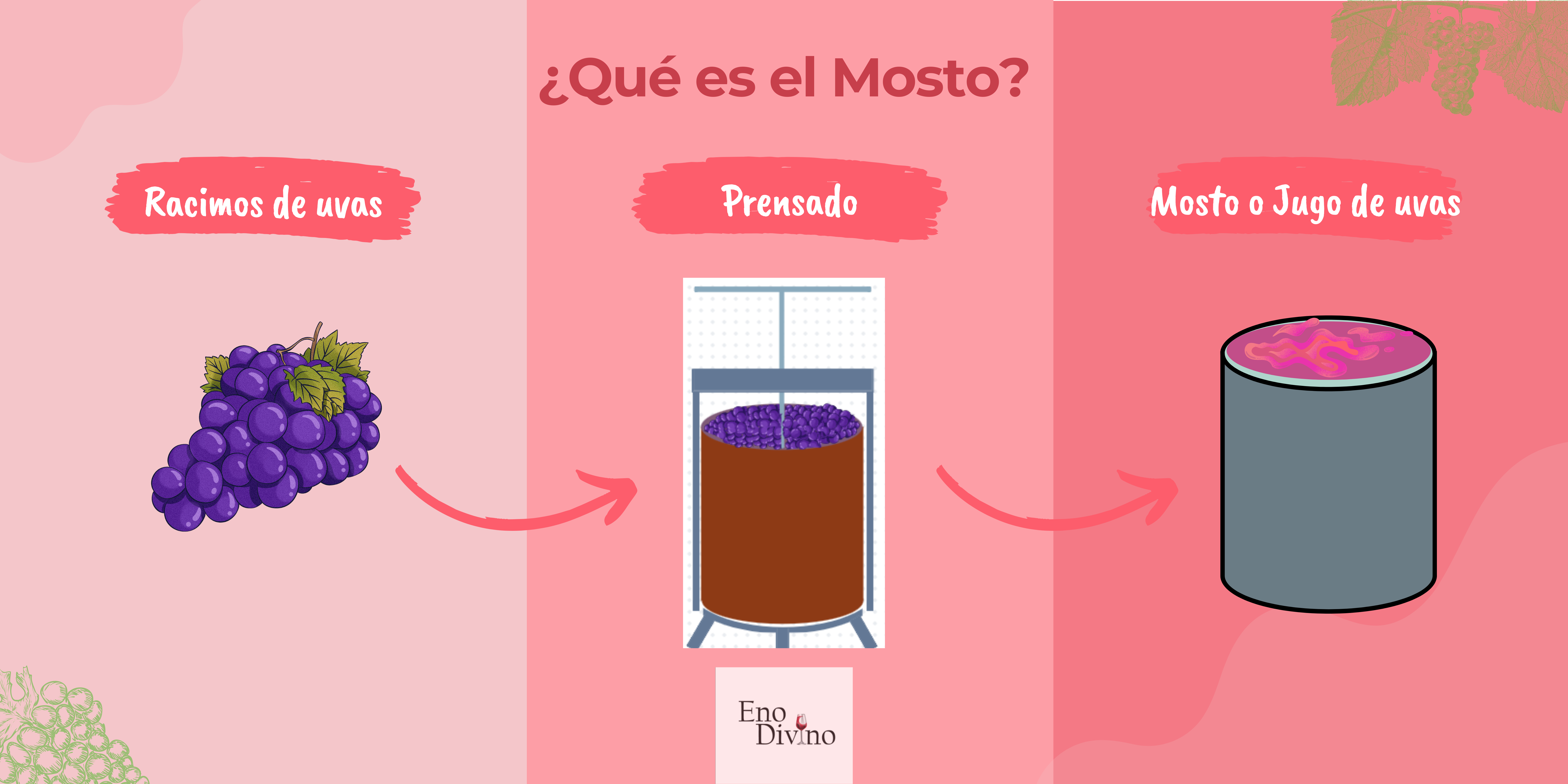 que es el mosto explicacion