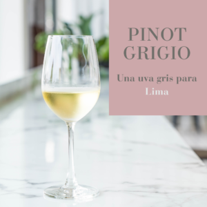 portada blog pinot gris enodivino