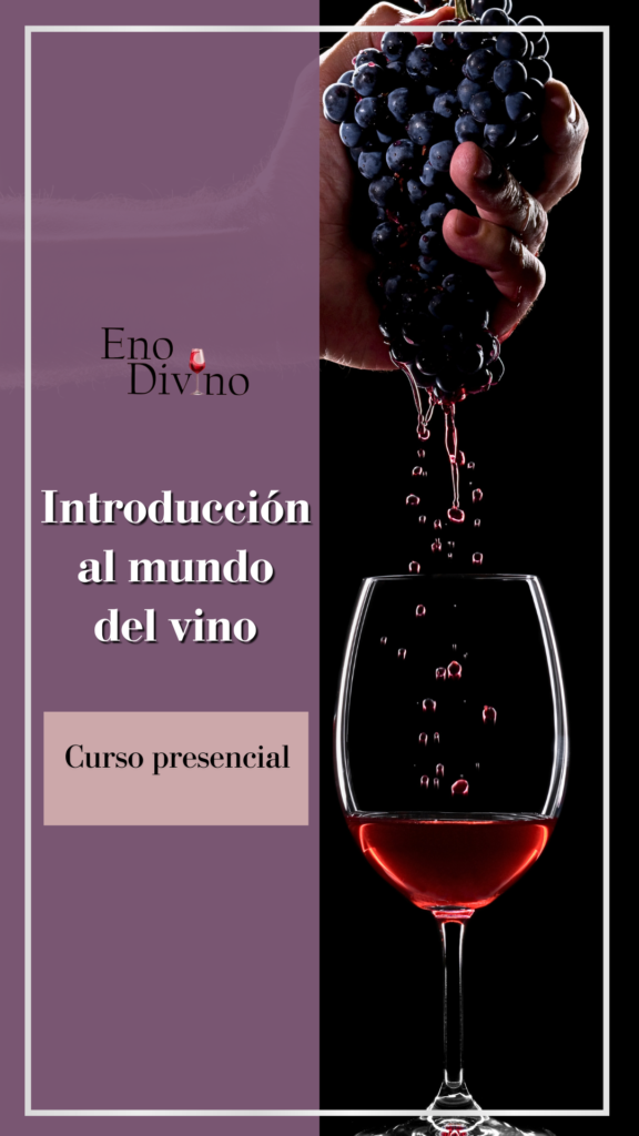 Curso Introducción al Mundo del Vino