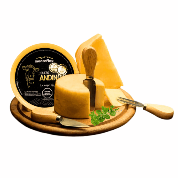 Queso andino